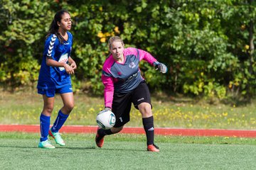 Bild 210 - B-Juniorinnen SV Henstedt Ulzburg - FSC Kaltenkirchen : Ergebnis: 3:2